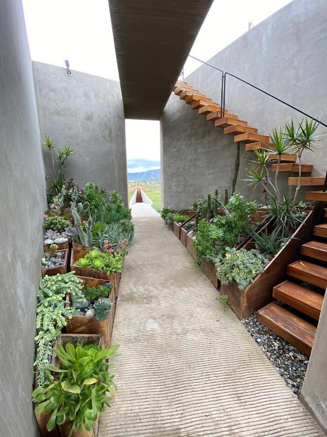 Bed and Breakfast Santulan à Valle de Guadalupe Extérieur photo