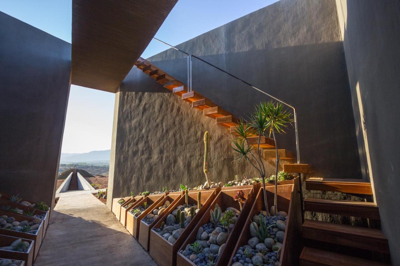 Bed and Breakfast Santulan à Valle de Guadalupe Extérieur photo